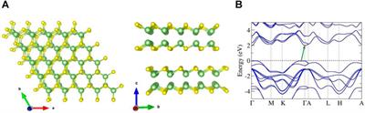 Ultrafast Nonlinear Optical Response and Carrier Dynamics in Layered Gallium Sulfide (GaS) Single-Crystalline Thin Films